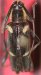 Colobotheini &bull; Sangaris inornata &bull; holotype ♀
